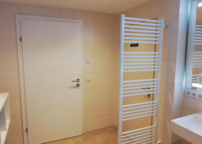 Apartment Laerchenreith Schladming